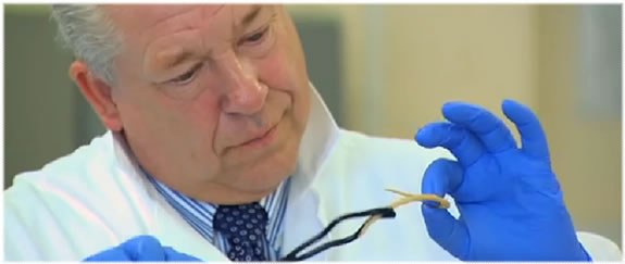 Eric Smith, Principal Consultant, examining a food sample